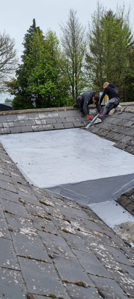 flat roof repair Pontypool