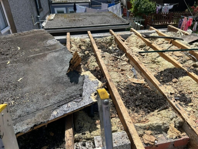 flat roof replacement pontypool